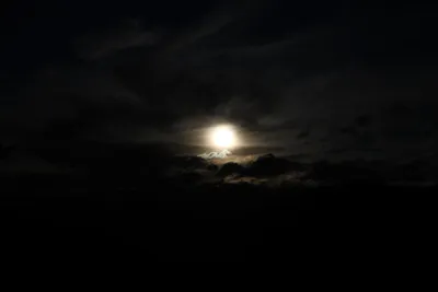 DSC_6797 (Large).JPG